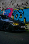 BMW 1 Series M140i & 2 series F20/F21/ F22 Carbon fibre widened Vented front Wings fenders 2015-2019-carbonizeduk