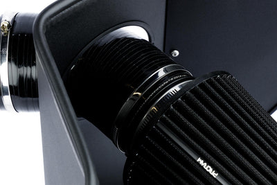 RAMAIR 2.3 Ecoboost Ford Mustang Black Proram Performance Intake Kit-carbonizeduk