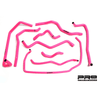 Pro Hoses Ancillary Hose Kit for Focus ST170-Ford-Airtec-carbonizeduk