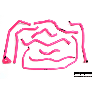 Pro Hoses Ancillary Hose Kit for Focus ST170-Ford-Airtec-carbonizeduk